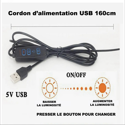 Décoration Lumière Beer Pong