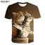 Chats amoureux
