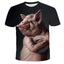 t-shirt tete de cochon